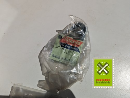 PXL_20240523_102722487